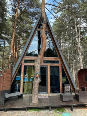 Park Hotel Surami Chalet